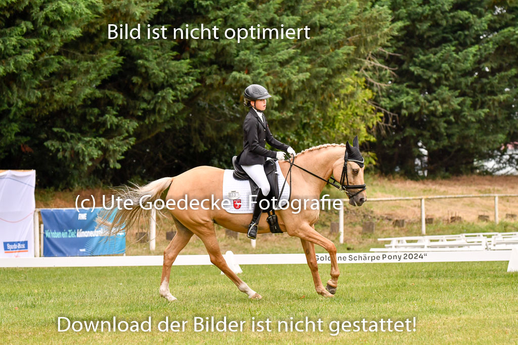 Goldene Schärpe Ponys in Hohenberg Krusemark 2024 | 12072024 Dressur _0613 