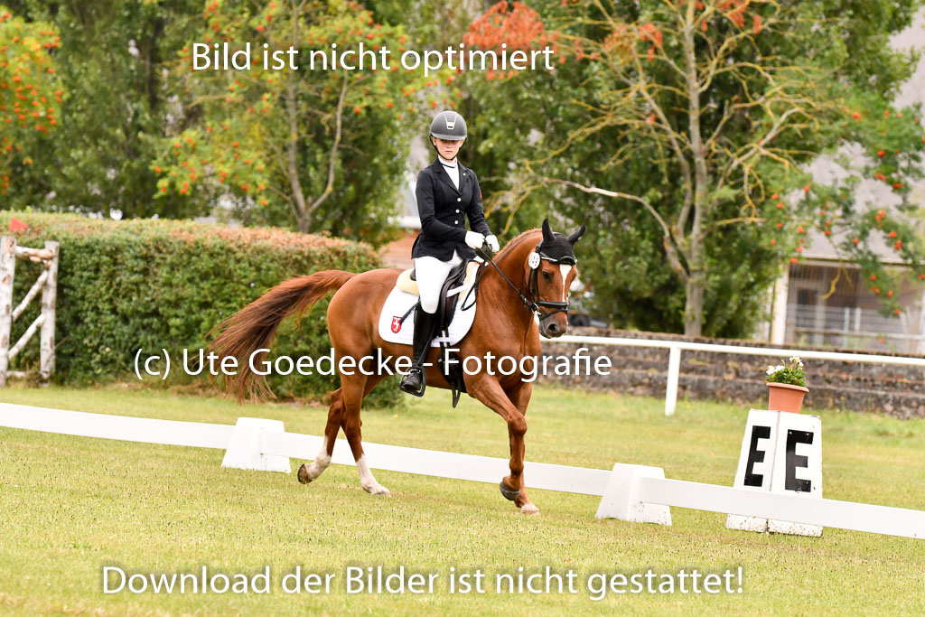 Goldene Schärpe Ponys in Hohenberg Krusemark 2024 | 12072024 Dressur _0615