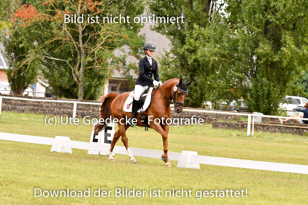 Goldene Schärpe Ponys in Hohenberg Krusemark 2024 | 12072024 Dressur _0617 