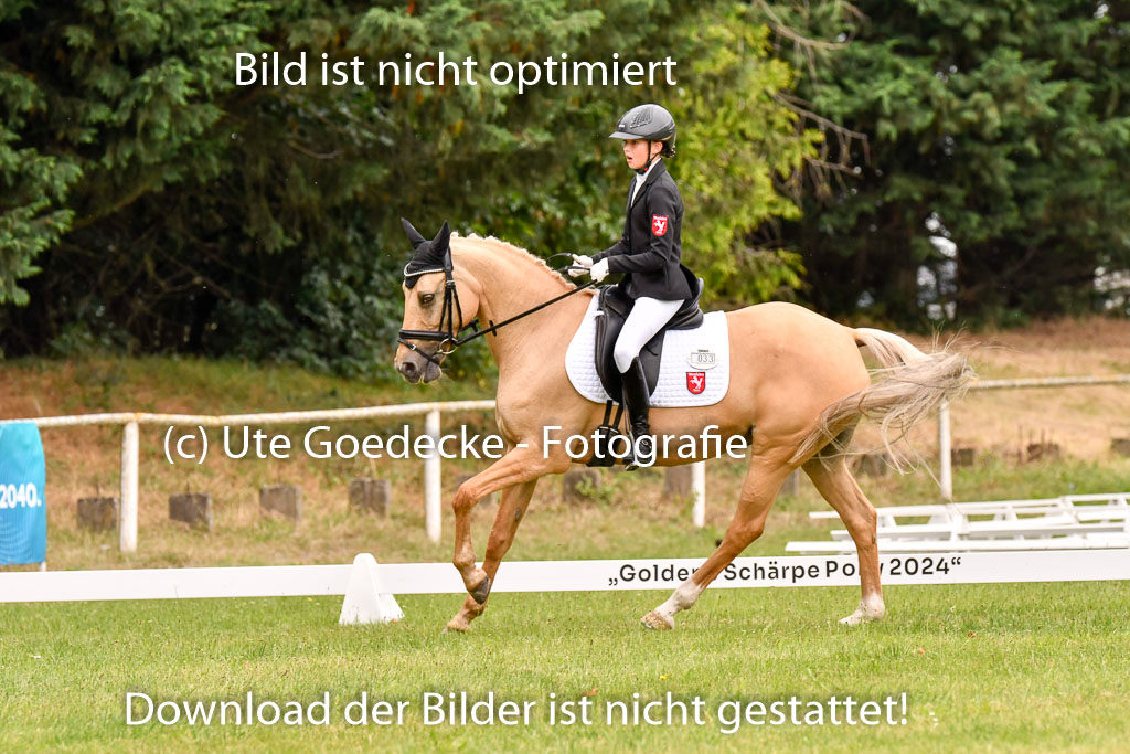 Goldene Schärpe Ponys in Hohenberg Krusemark 2024 | 12072024 Dressur _0620 