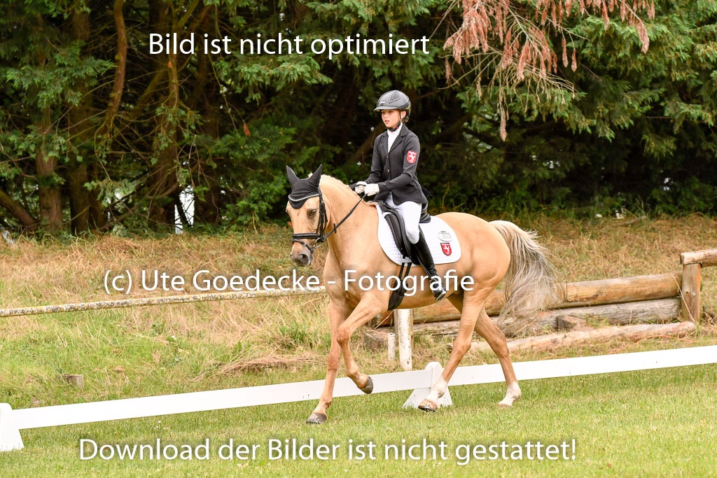 Goldene Schärpe Ponys in Hohenberg Krusemark 2024 | 12072024 Dressur _0622 