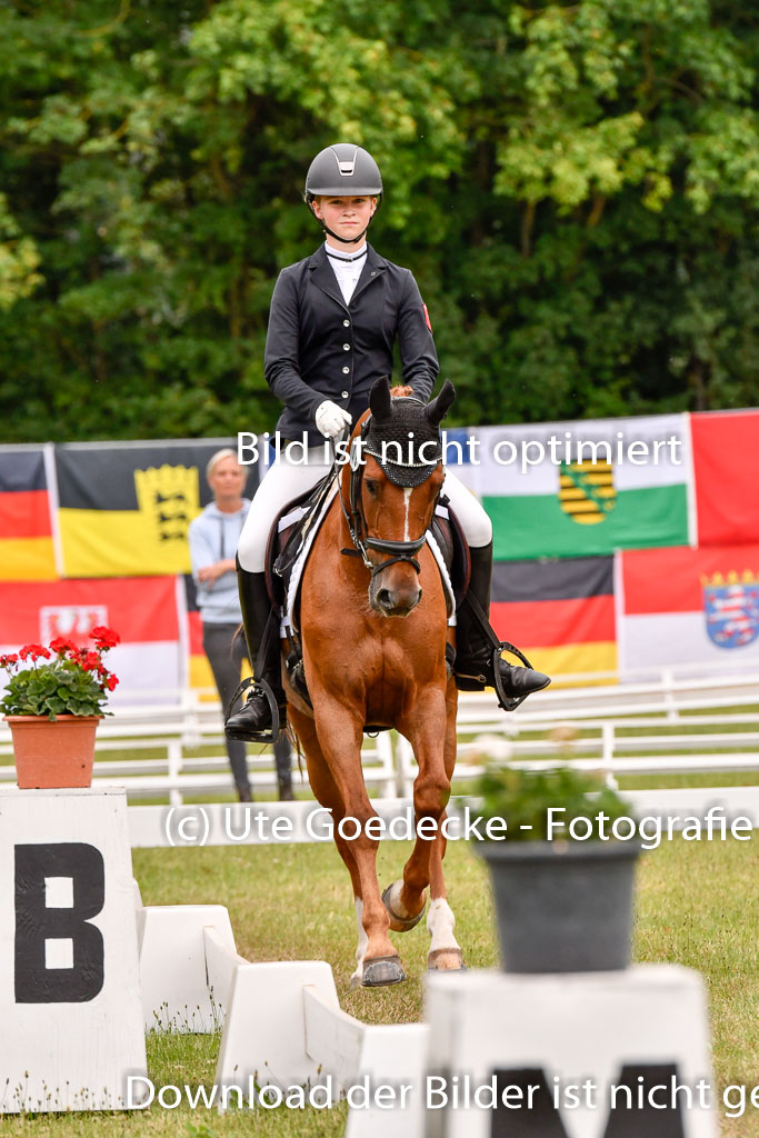Goldene Schärpe Ponys in Hohenberg Krusemark 2024 | 12072024 Dressur _0624