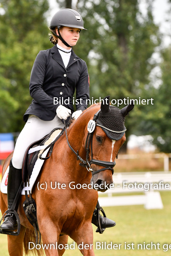 Goldene Schärpe Ponys in Hohenberg Krusemark 2024 | 12072024 Dressur _0625