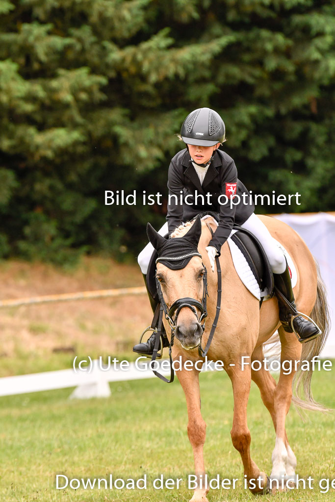 Goldene Schärpe Ponys in Hohenberg Krusemark 2024 | 12072024 Dressur _0626 