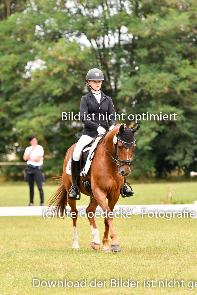 Goldene Schärpe Ponys in Hohenberg Krusemark 2024 | 12072024 Dressur _0629 