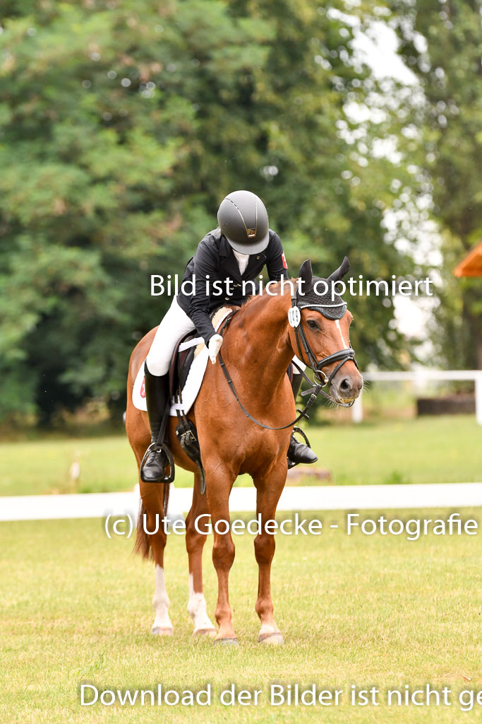 Goldene Schärpe Ponys in Hohenberg Krusemark 2024 | 12072024 Dressur _0630 