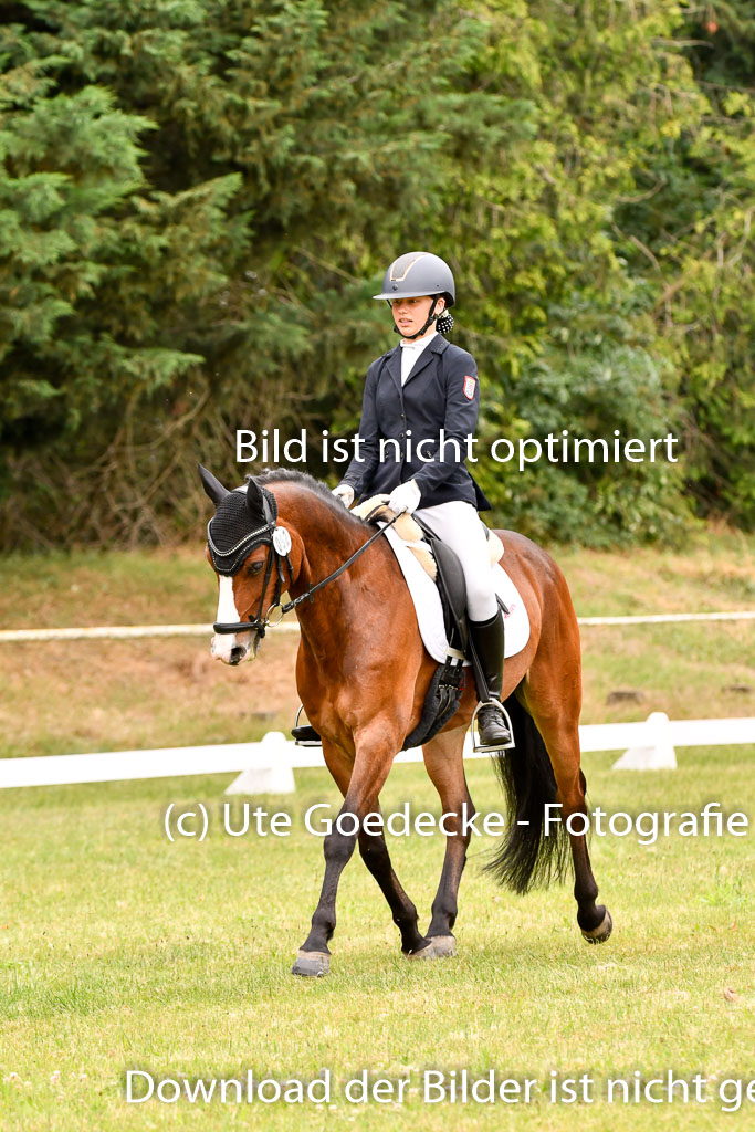 Goldene Schärpe Ponys in Hohenberg Krusemark 2024 | 12072024 Dressur _0633 