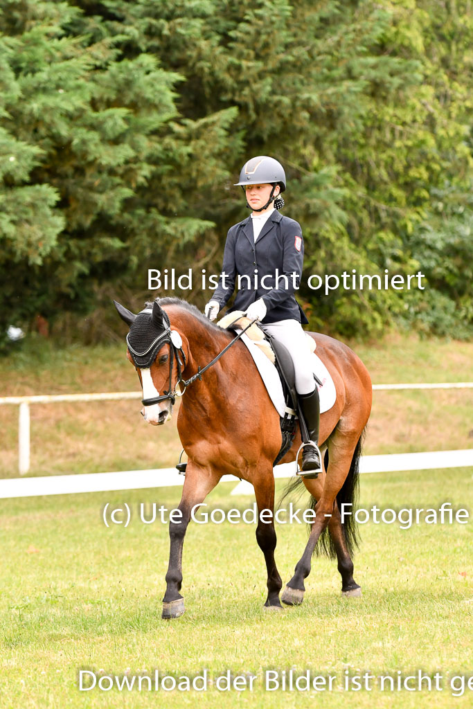 Goldene Schärpe Ponys in Hohenberg Krusemark 2024 | 12072024 Dressur _0634