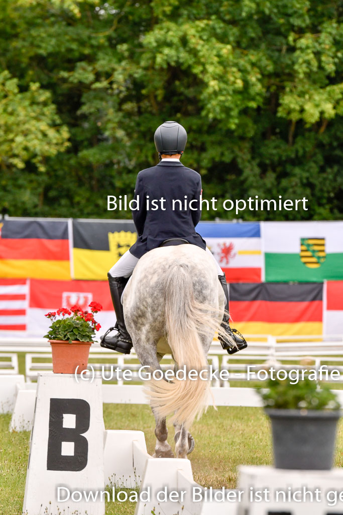 Goldene Schärpe Ponys in Hohenberg Krusemark 2024 | 12072024 Dressur _0635