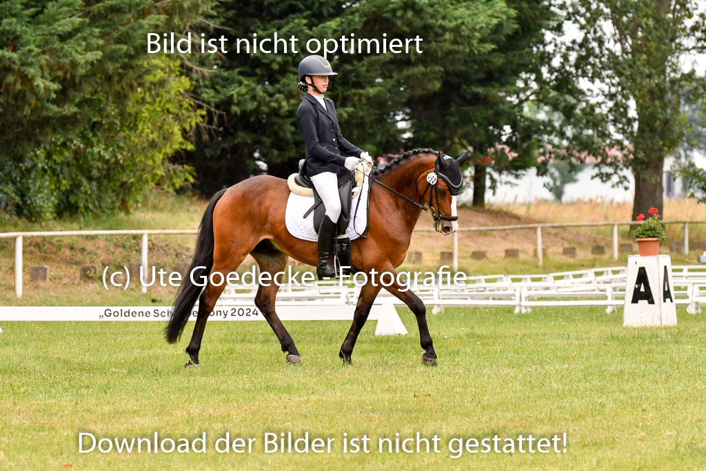 Goldene Schärpe Ponys in Hohenberg Krusemark 2024 | 12072024 Dressur _0638