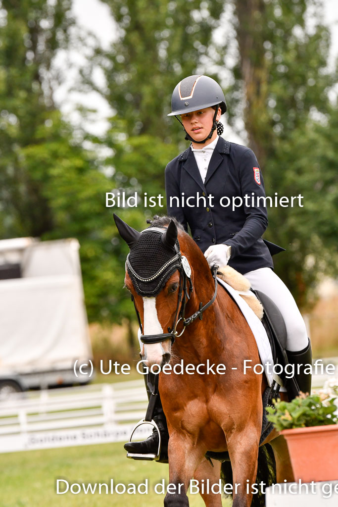 Goldene Schärpe Ponys in Hohenberg Krusemark 2024 | 12072024 Dressur _0641