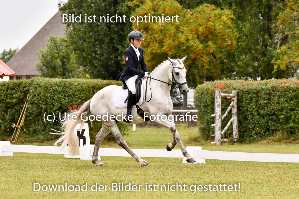 Goldene Schärpe Ponys in Hohenberg Krusemark 2024 | 12072024 Dressur _0643