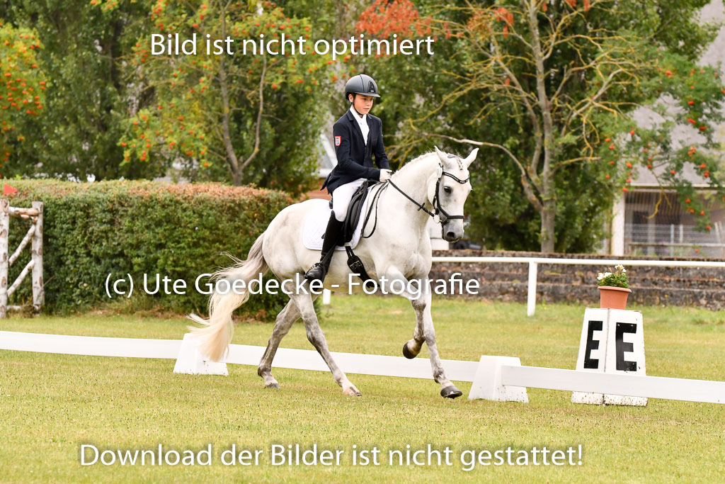 Goldene Schärpe Ponys in Hohenberg Krusemark 2024 | 12072024 Dressur _0644 