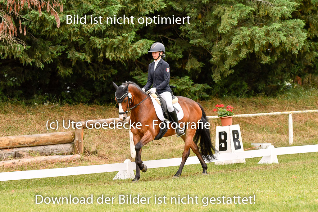 Goldene Schärpe Ponys in Hohenberg Krusemark 2024 | 12072024 Dressur _0646 