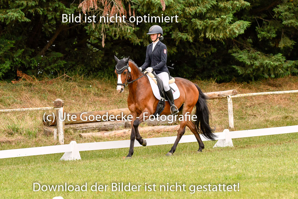 Goldene Schärpe Ponys in Hohenberg Krusemark 2024 | 12072024 Dressur _0647 