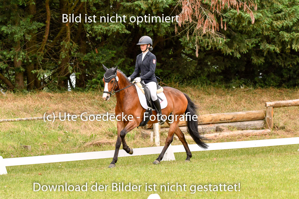 Goldene Schärpe Ponys in Hohenberg Krusemark 2024 | 12072024 Dressur _0648 