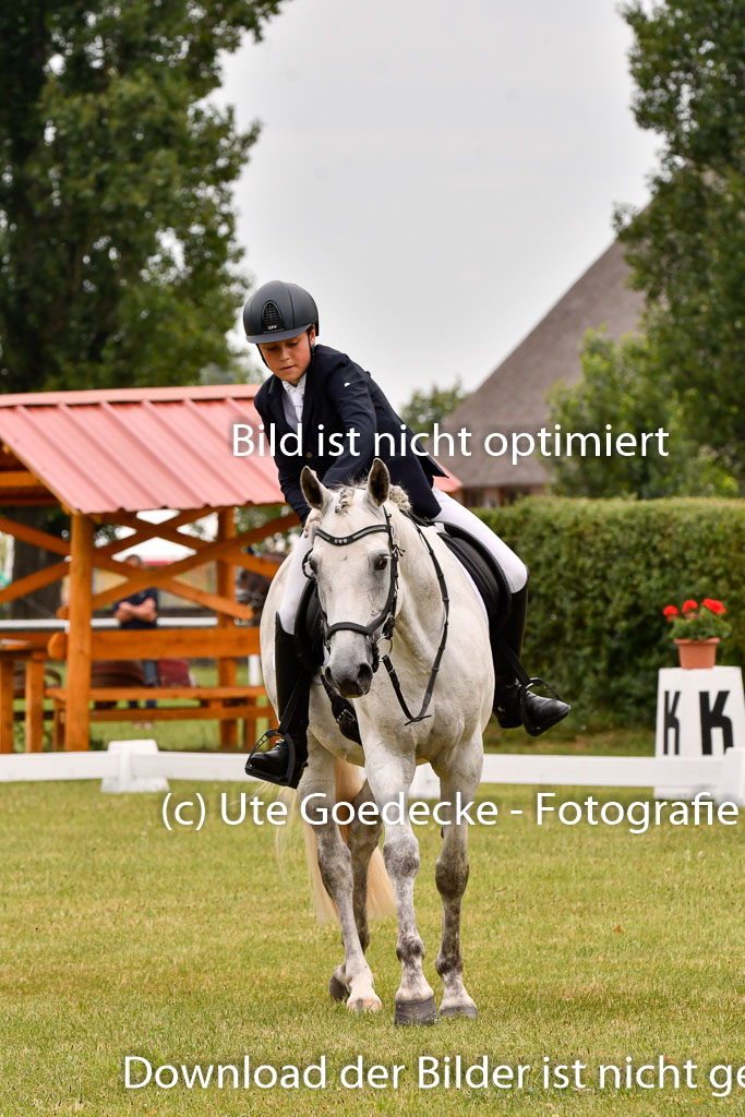 Goldene Schärpe Ponys in Hohenberg Krusemark 2024 | 12072024 Dressur _0650 