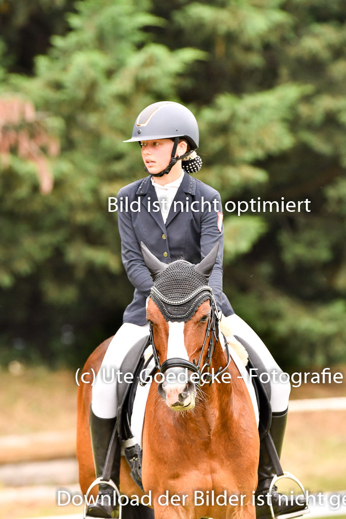 Goldene Schärpe Ponys in Hohenberg Krusemark 2024 | 12072024 Dressur _0651 