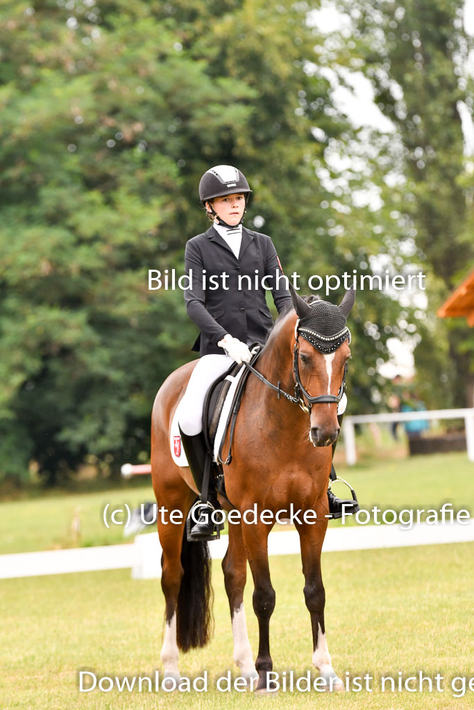 Goldene Schärpe Ponys in Hohenberg Krusemark 2024 | 12072024 Dressur _0654