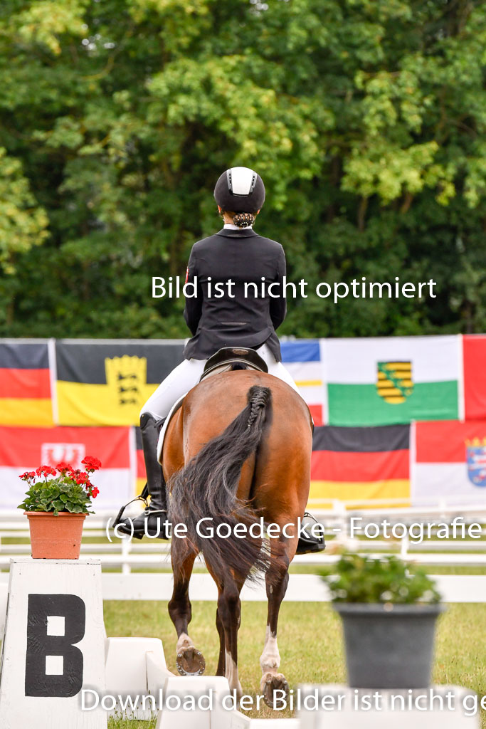 Goldene Schärpe Ponys in Hohenberg Krusemark 2024 | 12072024 Dressur _0655 