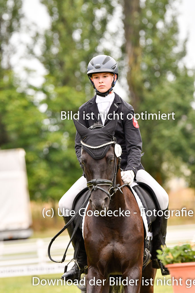Goldene Schärpe Ponys in Hohenberg Krusemark 2024 | 12072024 Dressur _0662