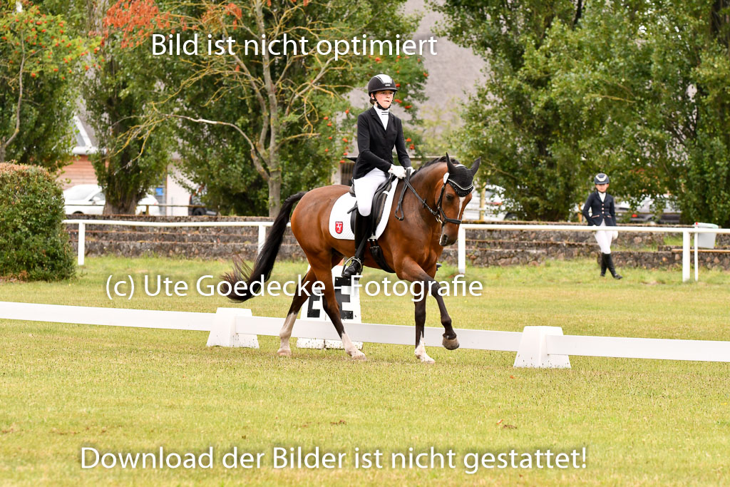 Goldene Schärpe Ponys in Hohenberg Krusemark 2024 | 12072024 Dressur _0664 