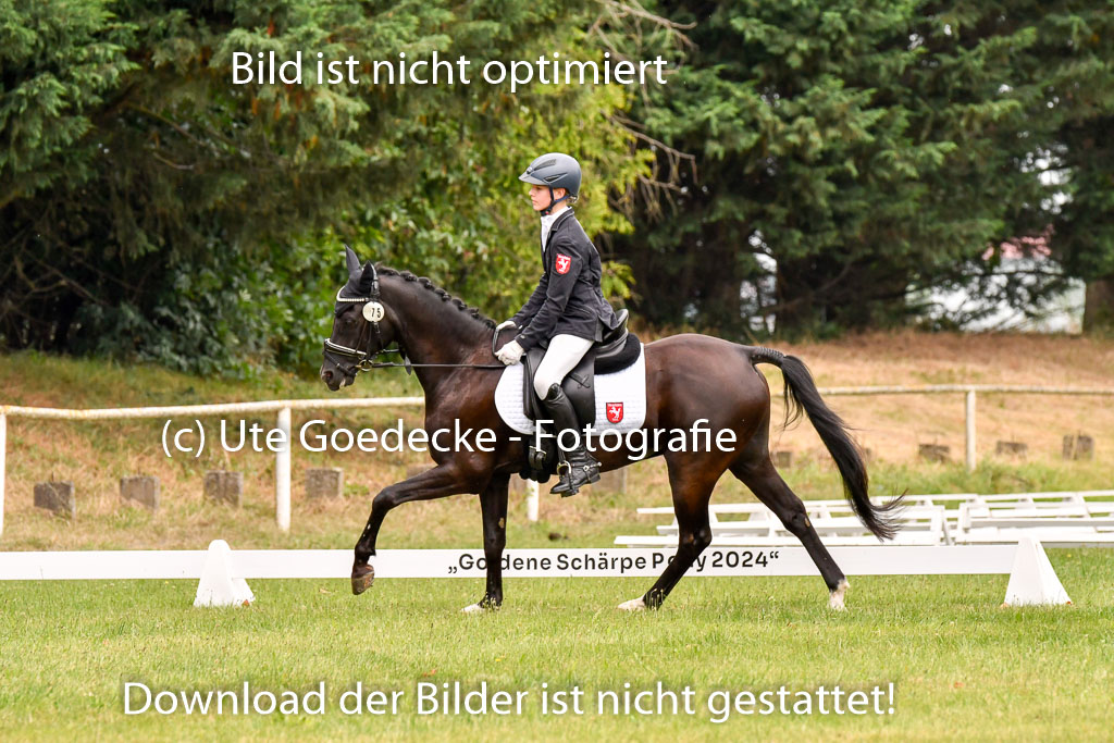 Goldene Schärpe Ponys in Hohenberg Krusemark 2024 | 12072024 Dressur _0666
