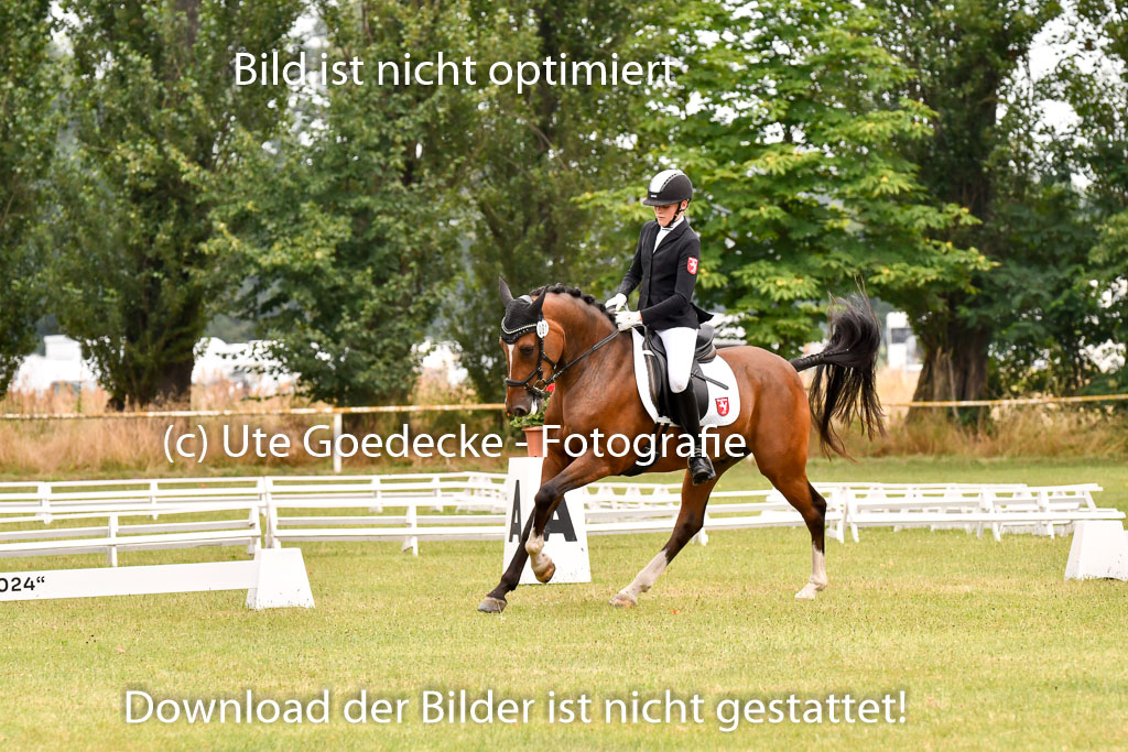 Goldene Schärpe Ponys in Hohenberg Krusemark 2024 | 12072024 Dressur _0667 