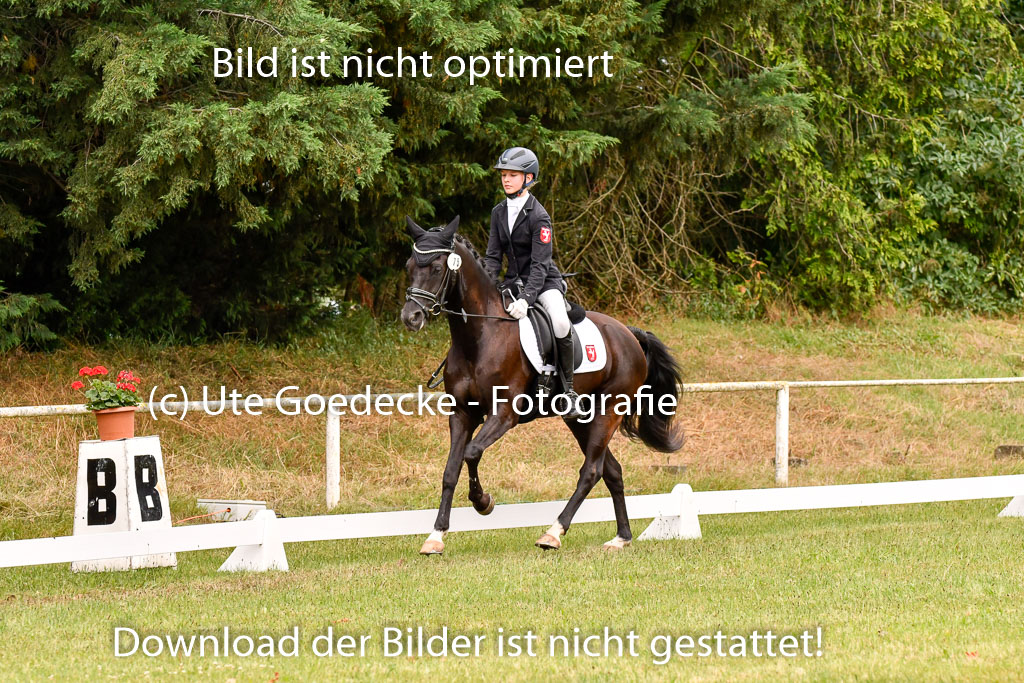 Goldene Schärpe Ponys in Hohenberg Krusemark 2024 | 12072024 Dressur _0668