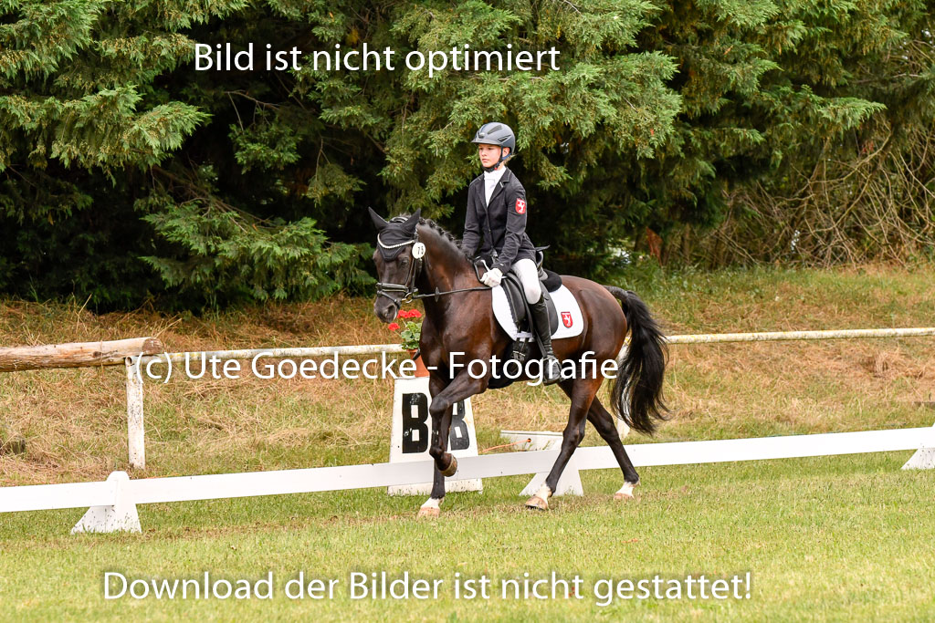 Goldene Schärpe Ponys in Hohenberg Krusemark 2024 | 12072024 Dressur _0669