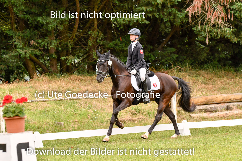 Goldene Schärpe Ponys in Hohenberg Krusemark 2024 | 12072024 Dressur _0671 