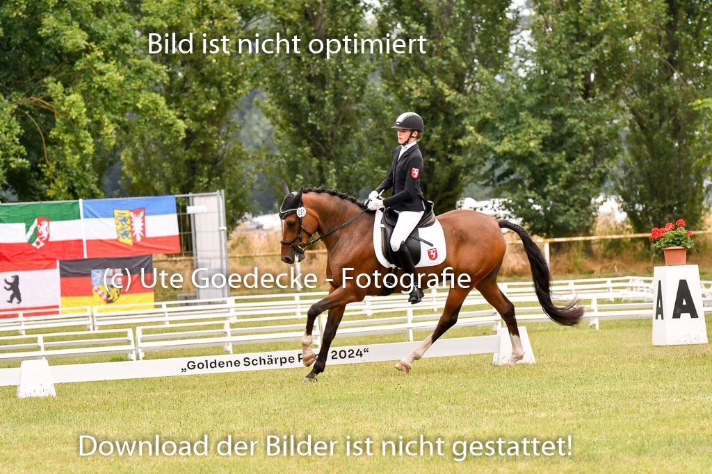 Goldene Schärpe Ponys in Hohenberg Krusemark 2024 | 12072024 Dressur _0672