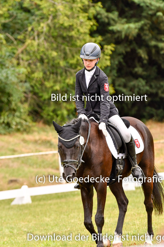 Goldene Schärpe Ponys in Hohenberg Krusemark 2024 | 12072024 Dressur _0673 