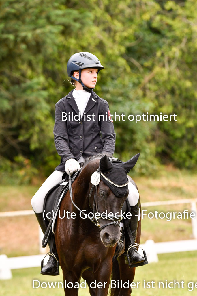 Goldene Schärpe Ponys in Hohenberg Krusemark 2024 | 12072024 Dressur _0674 