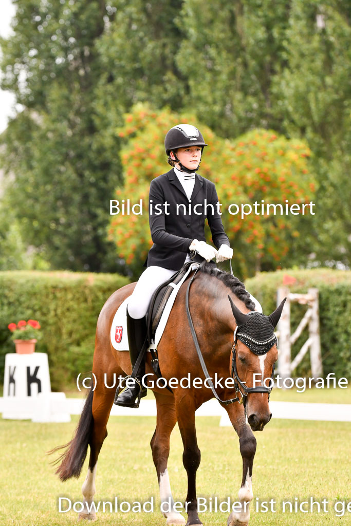 Goldene Schärpe Ponys in Hohenberg Krusemark 2024 | 12072024 Dressur _0675 