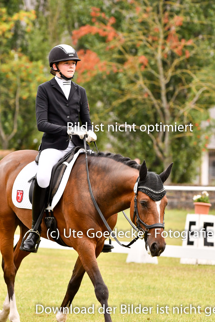 Goldene Schärpe Ponys in Hohenberg Krusemark 2024 | 12072024 Dressur _0676 