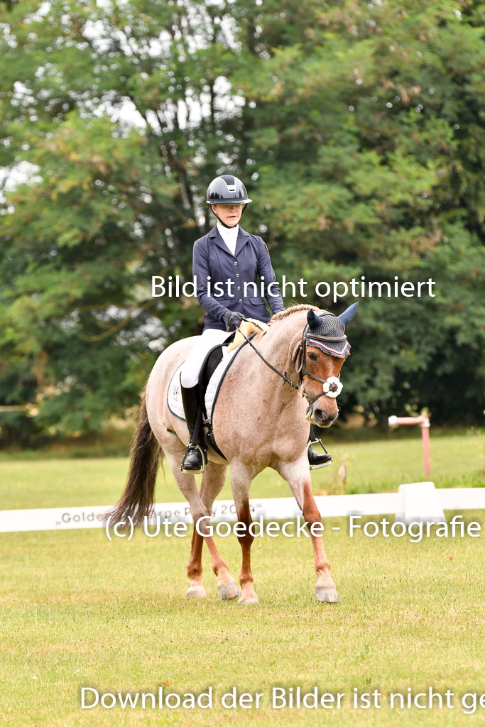 Goldene Schärpe Ponys in Hohenberg Krusemark 2024 | 12072024 Dressur _0677