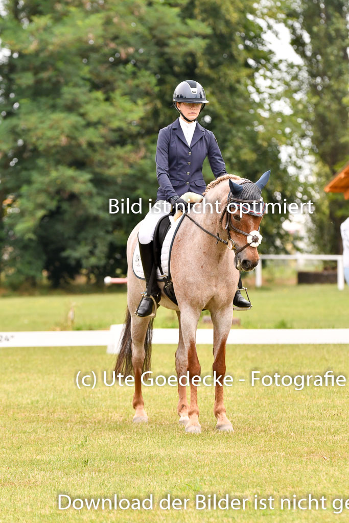 Goldene Schärpe Ponys in Hohenberg Krusemark 2024 | 12072024 Dressur _0678