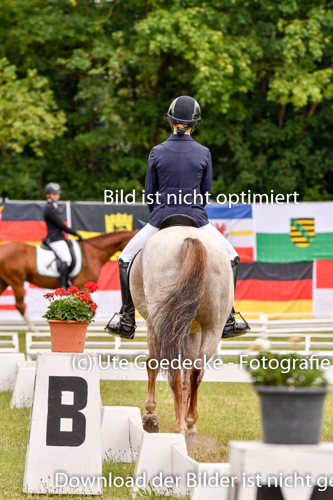 Goldene Schärpe Ponys in Hohenberg Krusemark 2024 | 12072024 Dressur _0679 