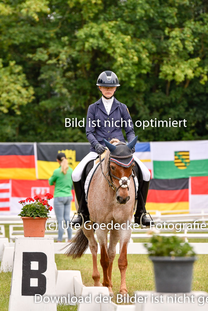 Goldene Schärpe Ponys in Hohenberg Krusemark 2024 | 12072024 Dressur _0680 