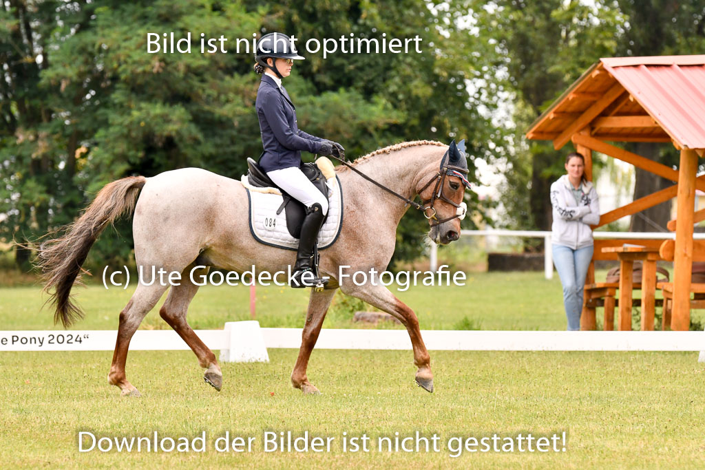 Goldene Schärpe Ponys in Hohenberg Krusemark 2024 | 12072024 Dressur _0681