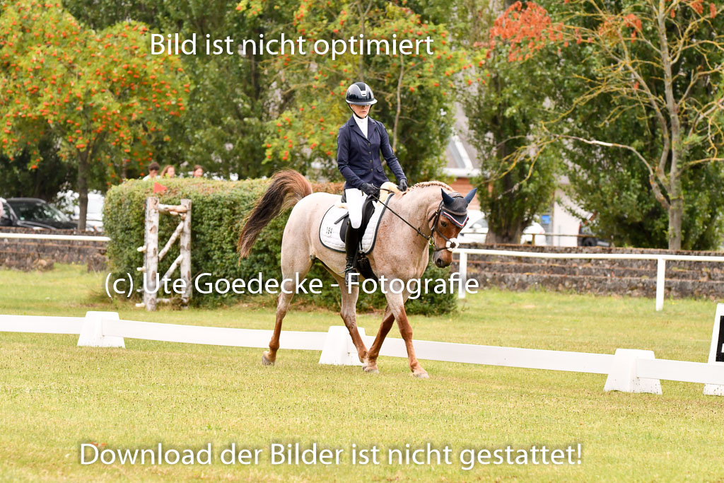 Goldene Schärpe Ponys in Hohenberg Krusemark 2024 | 12072024 Dressur _0682 