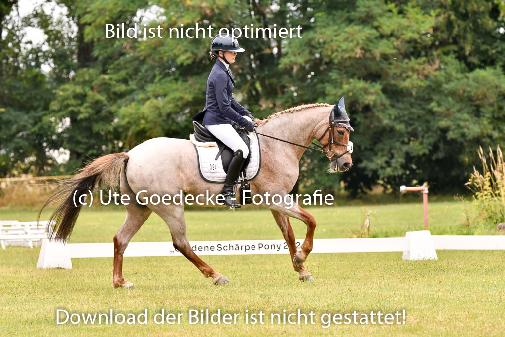 Goldene Schärpe Ponys in Hohenberg Krusemark 2024 | 12072024 Dressur _0683 