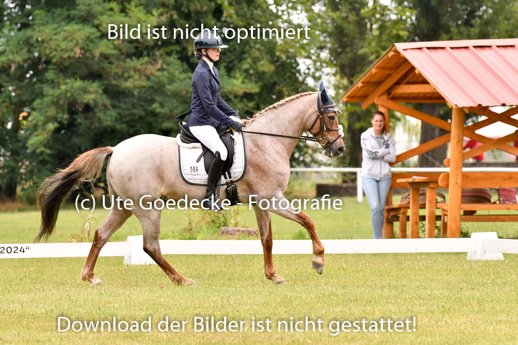 Goldene Schärpe Ponys in Hohenberg Krusemark 2024 | 12072024 Dressur _0684 