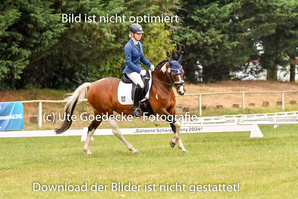 Goldene Schärpe Ponys in Hohenberg Krusemark 2024 | 12072024 Dressur _0685 