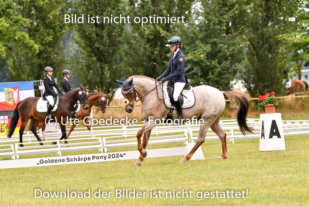 Goldene Schärpe Ponys in Hohenberg Krusemark 2024 | 12072024 Dressur _0687 