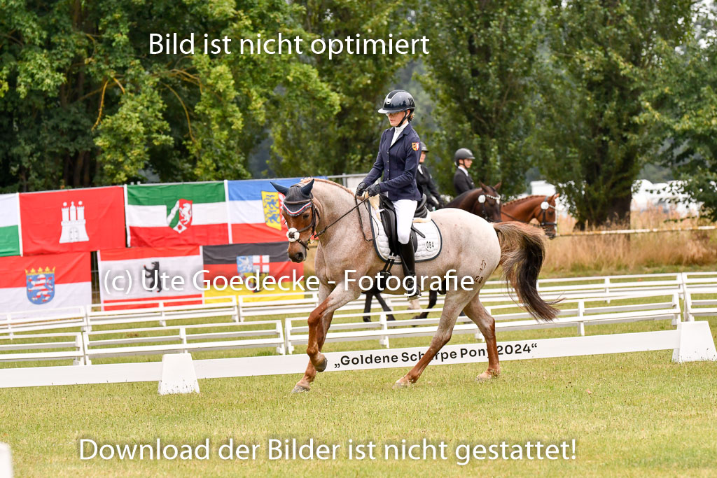 Goldene Schärpe Ponys in Hohenberg Krusemark 2024 | 12072024 Dressur _0688