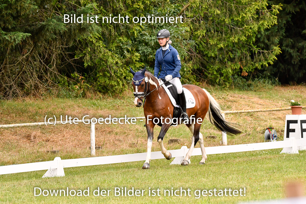 Goldene Schärpe Ponys in Hohenberg Krusemark 2024 | 12072024 Dressur _0691