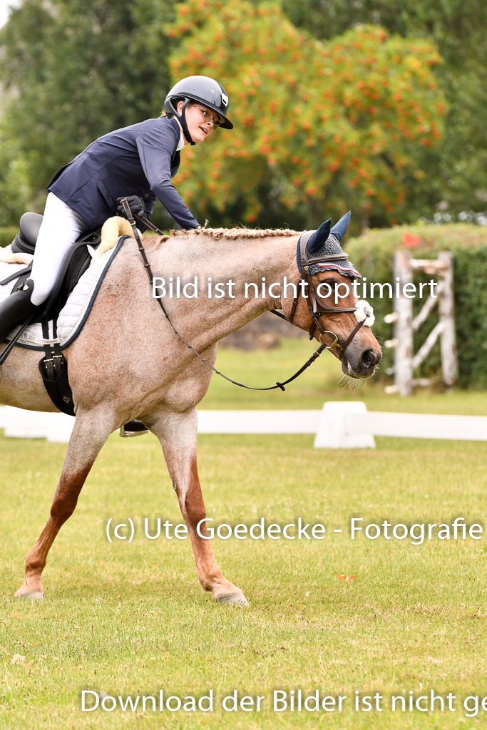 Goldene Schärpe Ponys in Hohenberg Krusemark 2024 | 12072024 Dressur _0695 