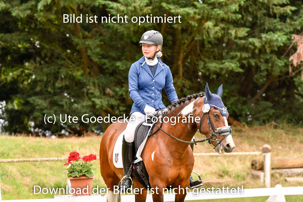 Goldene Schärpe Ponys in Hohenberg Krusemark 2024 | 12072024 Dressur _0699